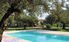 Villa Safiria,looking to visit Lecce, Puglia and stay in a villa with a private pool? Discover-Puglia.com is your one stop shop for finding luxury holiday homes in Italy.